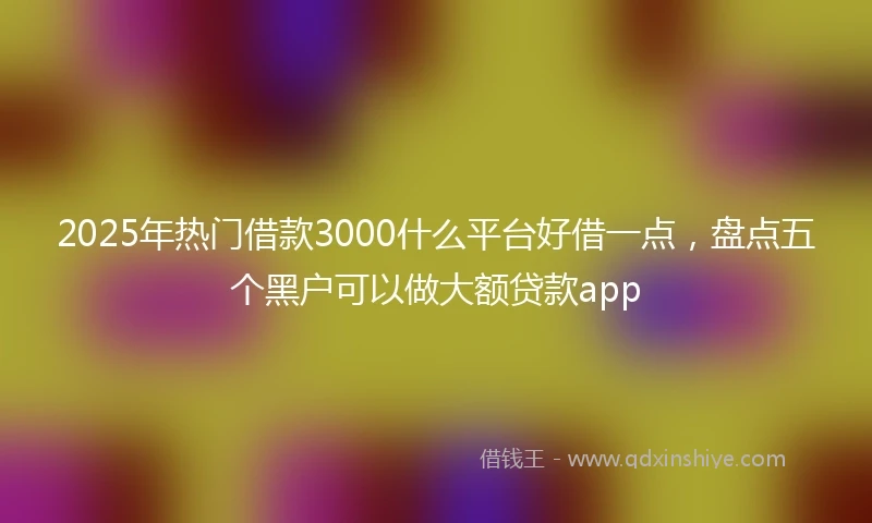 2025年热门借款3000什么平台好借一点，盘点五个黑户可以做大额贷款app