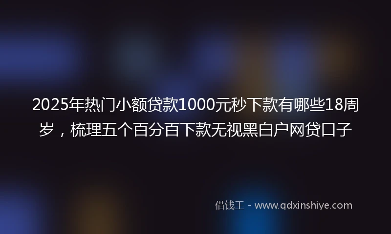 2025年热门小额贷款1000元秒下款有哪些18周岁，梳理五个百分百下款无视黑白户网贷口子