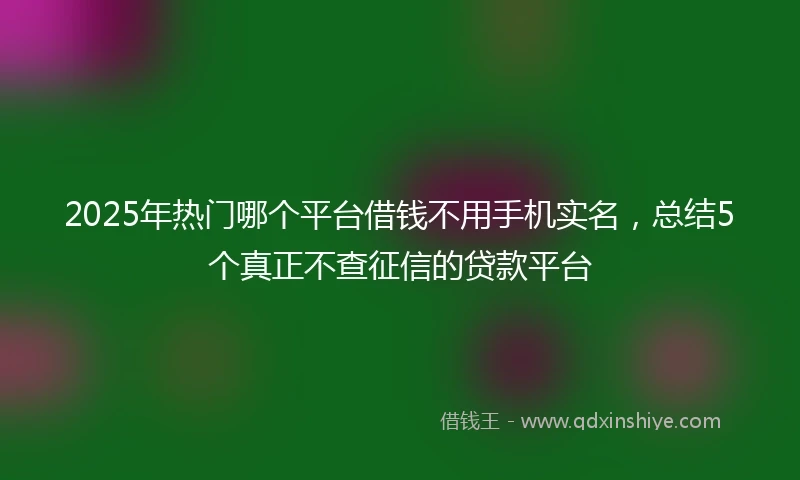 2025年热门哪个平台借钱不用手机实名，总结5个真正不查征信的贷款平台