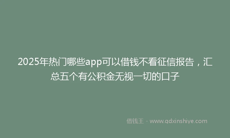 2025年热门哪些app可以借钱不看征信报告，汇总五个有公积金无视一切的口子