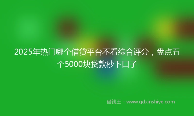2025年热门哪个借贷平台不看综合评分，盘点五个5000块贷款秒下口子