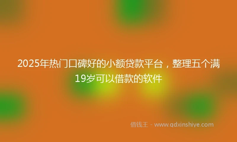 2025年热门口碑好的小额贷款平台，整理五个满19岁可以借款的软件
