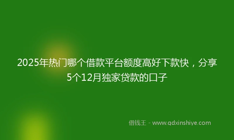 2025年热门哪个借款平台额度高好下款快，分享5个12月独家贷款的口子