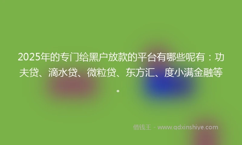 2025年的专门给黑户放款的平台有哪些呢有：功夫贷、滴水贷、微粒贷、东方汇、度小满金融等。