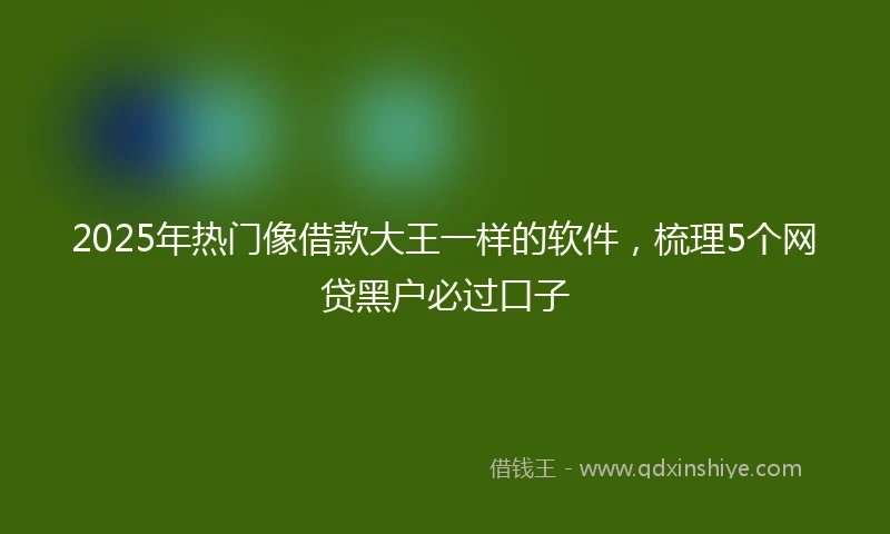 2025年热门像借款大王一样的软件，梳理5个网贷黑户必过口子