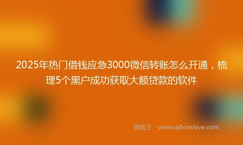 2025年热门借钱应急3000微信转账怎么开通，梳理5个黑户成功获取大额贷款的软件