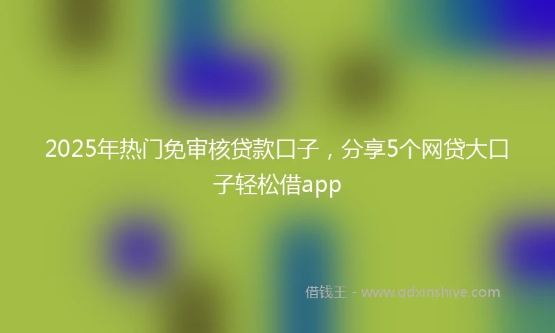 2025年热门免审核贷款口子，分享5个网贷大口子轻松借app