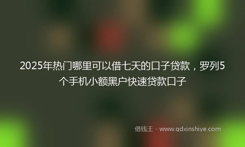 2025年热门哪里可以借七天的口子贷款，罗列5个手机小额黑户快速贷款口子