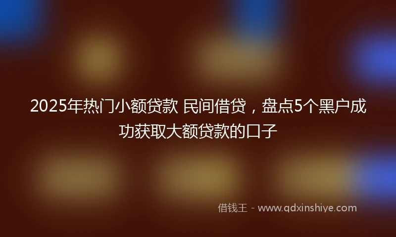 2025年热门小额贷款 民间借贷，盘点5个黑户成功获取大额贷款的口子