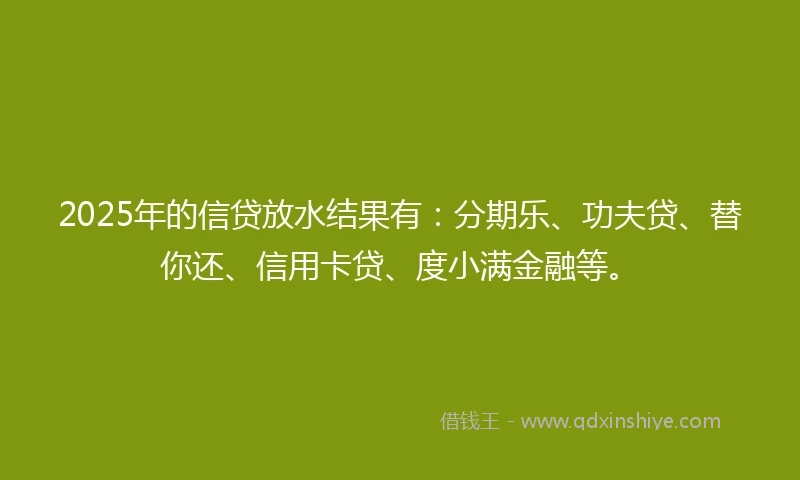 2025年的信贷放水结果有：分期乐、功夫贷、替你还、信用卡贷、度小满金融等。