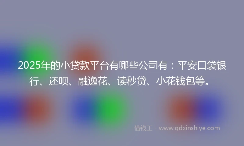 2025年的小贷款平台有哪些公司有：平安口袋银行、还呗、融逸花、读秒贷、小花钱包等。