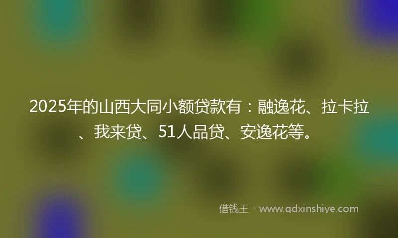 2025年的山西大同小额贷款有：融逸花、拉卡拉、我来贷、51人品贷、安逸花等。