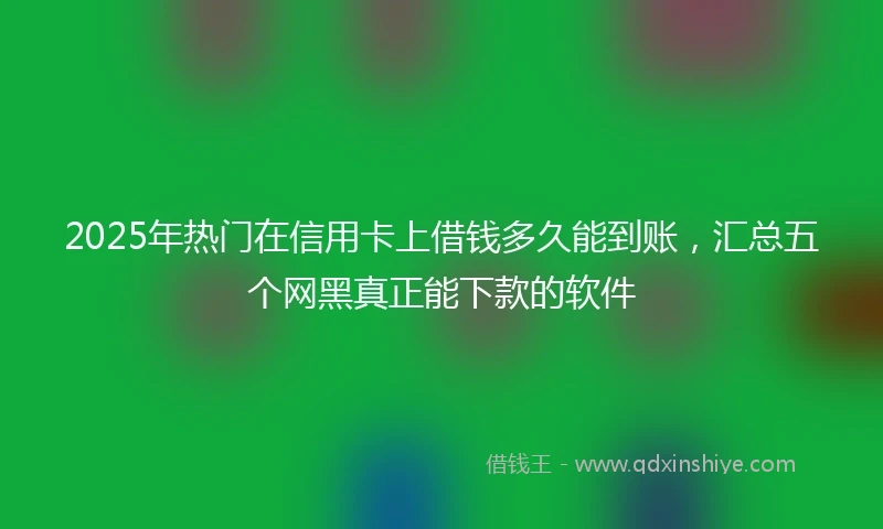 2025年热门在信用卡上借钱多久能到账，汇总五个网黑真正能下款的软件