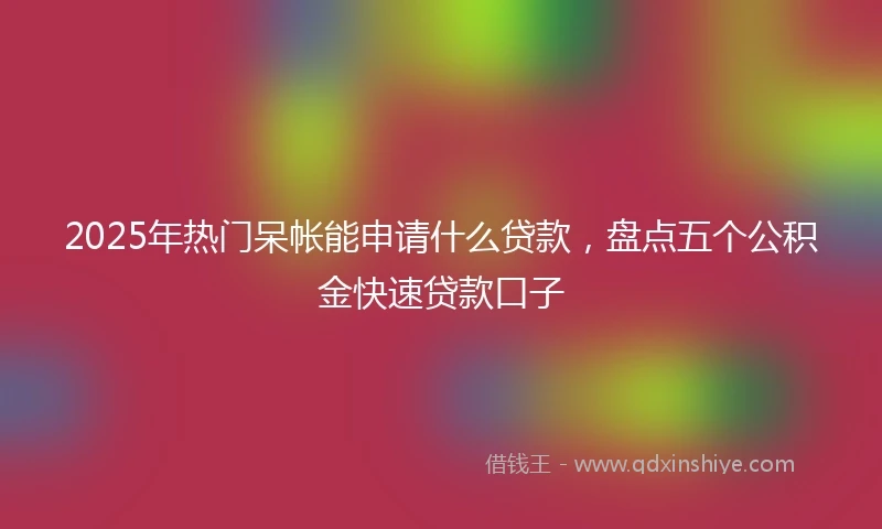 2025年热门呆帐能申请什么贷款，盘点五个公积金快速贷款口子