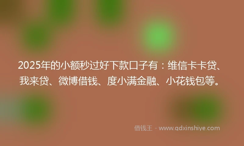 2025年的小额秒过好下款口子有：维信卡卡贷、我来贷、微博借钱、度小满金融、小花钱包等。