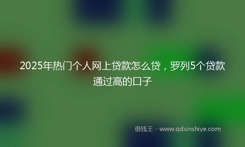 2025年热门个人网上贷款怎么贷，罗列5个贷款通过高的口子