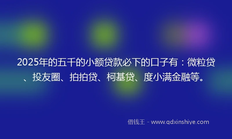 2025年的五千的小额贷款必下的口子有：微粒贷、投友圈、拍拍贷、柯基贷、度小满金融等。