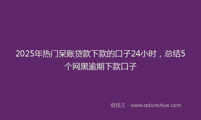 2025年热门呆账贷款下款的口子24小时，总结5个网黑逾期下款口子