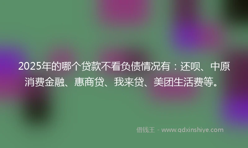 2025年的哪个贷款不看负债情况有：还呗、中原消费金融、惠商贷、我来贷、美团生活费等。