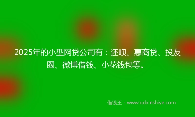 2025年的小型网贷公司有：还呗、惠商贷、投友圈、微博借钱、小花钱包等。