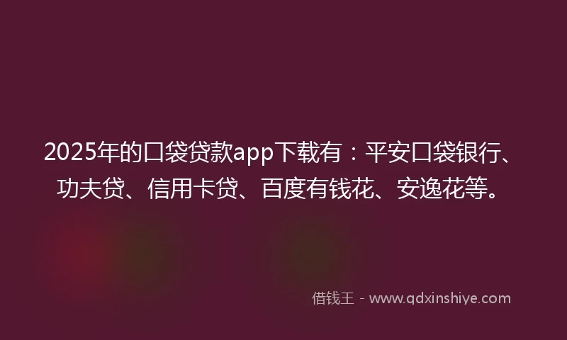 2025年的口袋贷款app下载有：平安口袋银行、功夫贷、信用卡贷、百度有钱花、安逸花等。