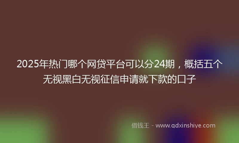 2025年热门哪个网贷平台可以分24期，概括五个无视黑白无视征信申请就下款的口子