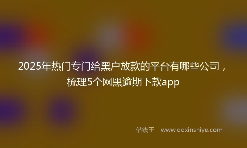 2025年热门专门给黑户放款的平台有哪些公司，梳理5个网黑逾期下款app