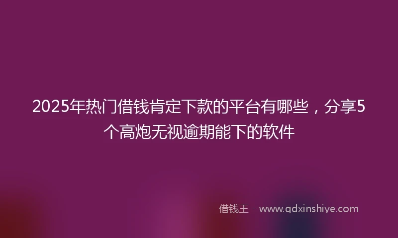 2025年热门借钱肯定下款的平台有哪些，分享5个高炮无视逾期能下的软件