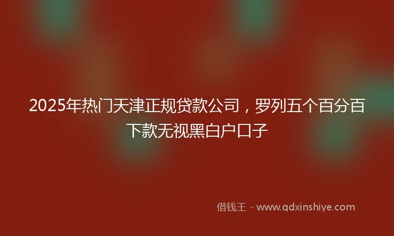 2025年热门天津正规贷款公司，罗列五个百分百下款无视黑白户口子