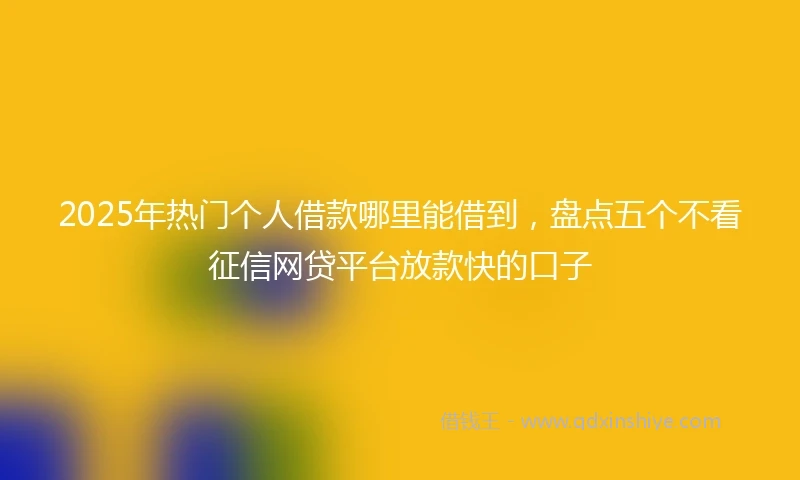 2025年热门个人借款哪里能借到，盘点五个不看征信网贷平台放款快的口子