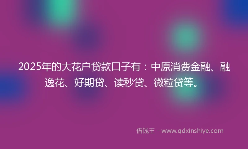 2025年的大花户贷款口子有：中原消费金融、融逸花、好期贷、读秒贷、微粒贷等。