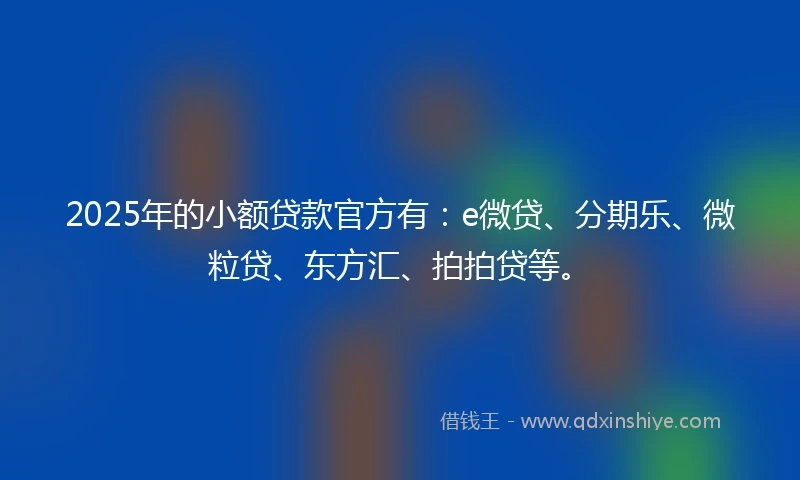 2025年的小额贷款官方有：e微贷、分期乐、微粒贷、东方汇、拍拍贷等。