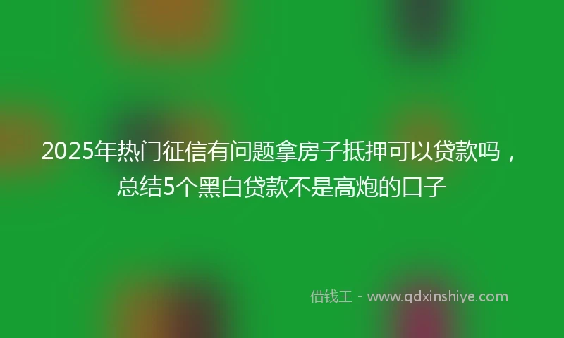 2025年热门征信有问题拿房子抵押可以贷款吗，总结5个黑白贷款不是高炮的口子