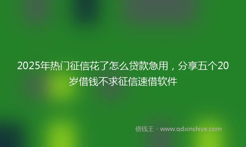 2025年热门征信花了怎么贷款急用，分享五个20岁借钱不求征信速借软件