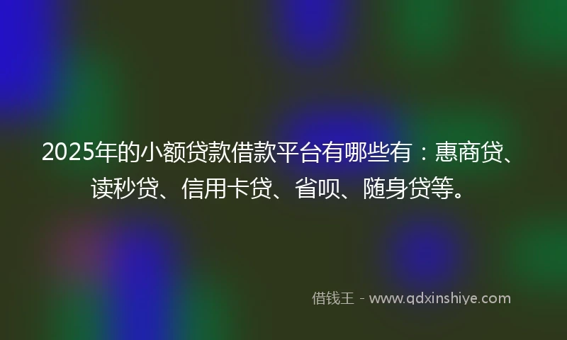 2025年的小额贷款借款平台有哪些有：惠商贷、读秒贷、信用卡贷、省呗、随身贷等。