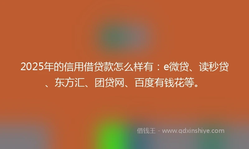 2025年的信用借贷款怎么样有：e微贷、读秒贷、东方汇、团贷网、百度有钱花等。
