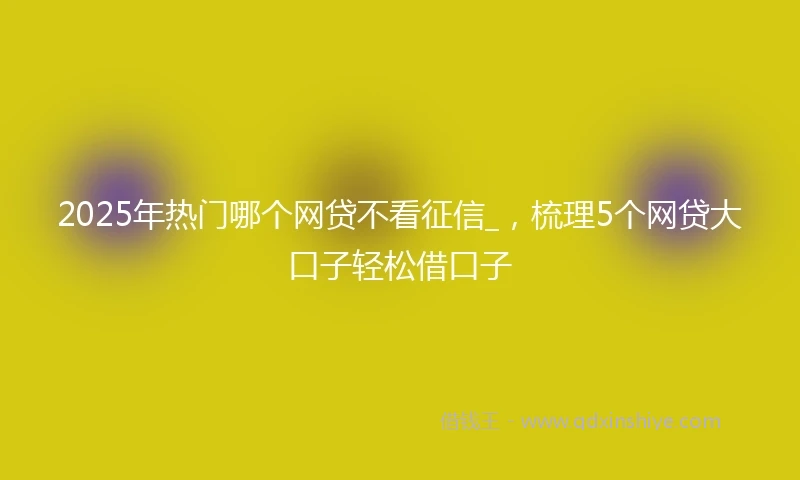 2025年热门哪个网贷不看征信_，梳理5个网贷大口子轻松借口子