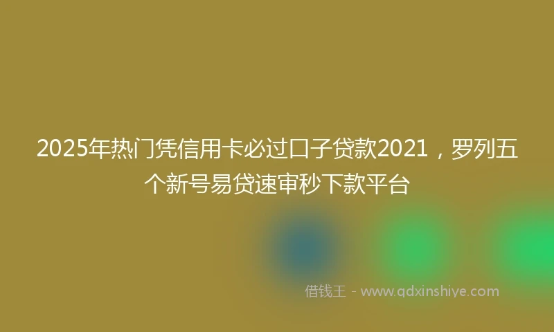 2025年热门凭信用卡必过口子贷款2021，罗列五个新号易贷速审秒下款平台