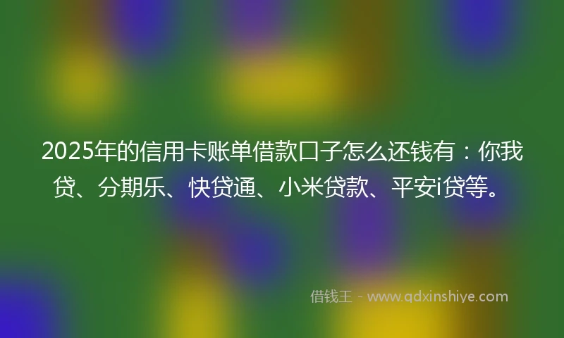 2025年的信用卡账单借款口子怎么还钱有：你我贷、分期乐、快贷通、小米贷款、平安i贷等。