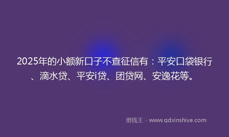 2025年的小额新口子不查征信有：平安口袋银行、滴水贷、平安i贷、团贷网、安逸花等。