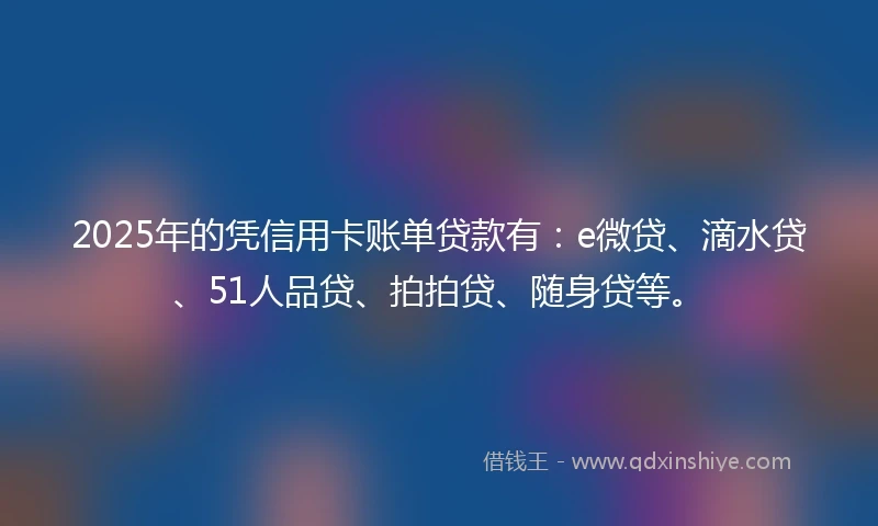 2025年的凭信用卡账单贷款有：e微贷、滴水贷、51人品贷、拍拍贷、随身贷等。