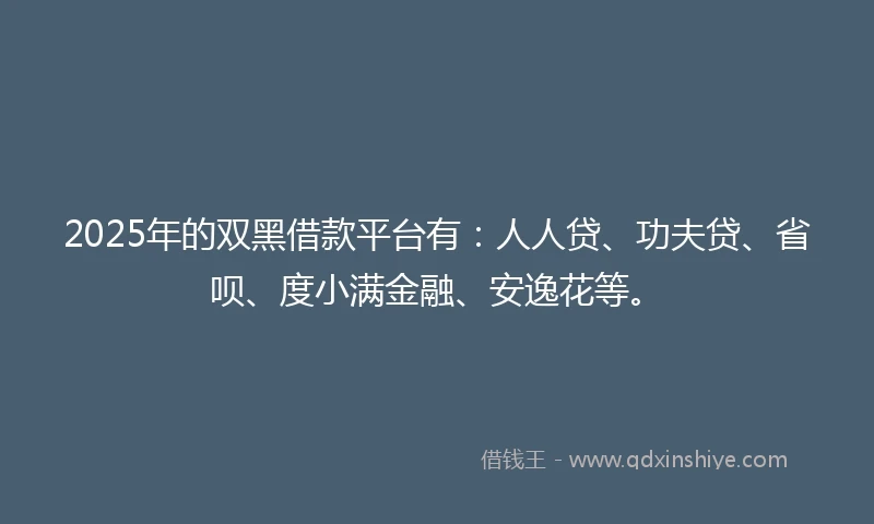 2025年的双黑借款平台有：人人贷、功夫贷、省呗、度小满金融、安逸花等。