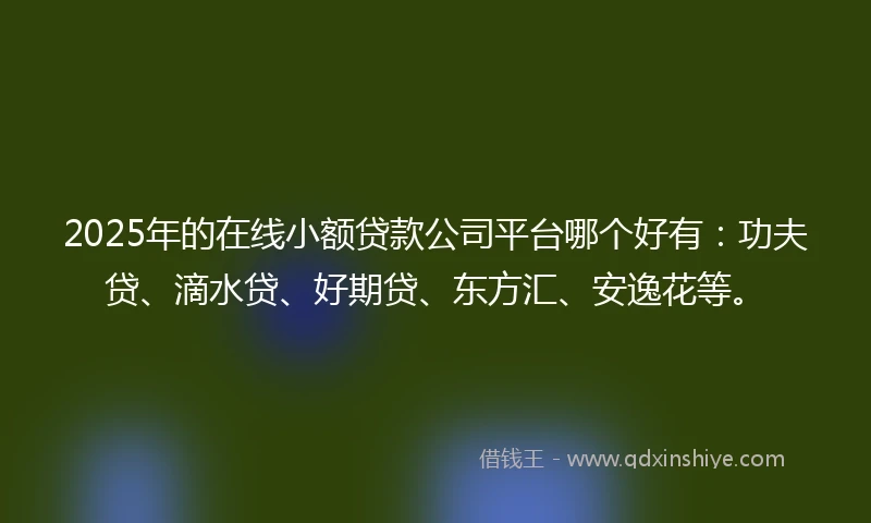 2025年的在线小额贷款公司平台哪个好有：功夫贷、滴水贷、好期贷、东方汇、安逸花等。