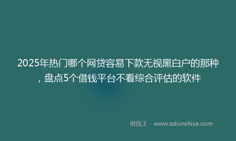2025年热门哪个网贷容易下款无视黑白户的那种，盘点5个借钱平台不看综合评估的软件