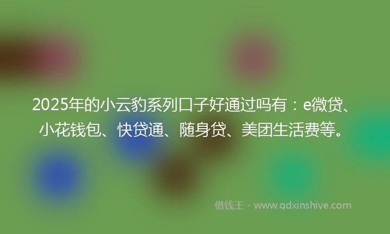2025年的小云豹系列口子好通过吗有：e微贷、小花钱包、快贷通、随身贷、美团生活费等。