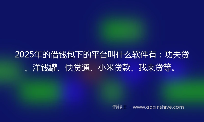 2025年的借钱包下的平台叫什么软件有：功夫贷、洋钱罐、快贷通、小米贷款、我来贷等。