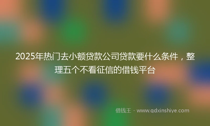 2025年热门去小额贷款公司贷款要什么条件，整理五个不看征信的借钱平台