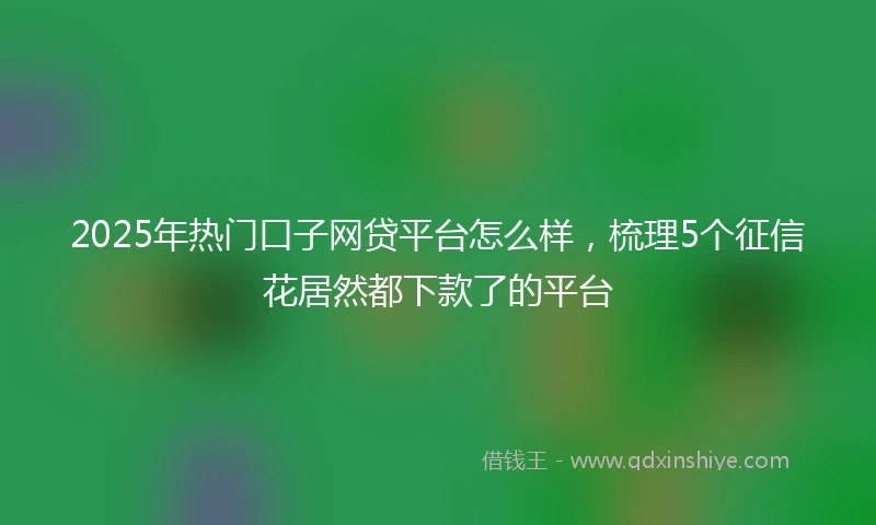 2025年热门口子网贷平台怎么样，梳理5个征信花居然都下款了的平台