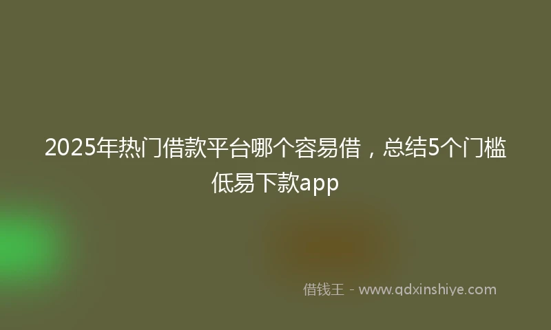 2025年热门借款平台哪个容易借，总结5个门槛低易下款app