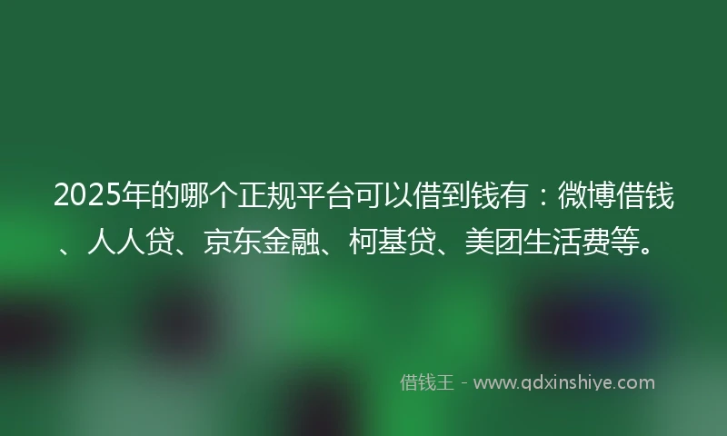 2025年的哪个正规平台可以借到钱有：微博借钱、人人贷、京东金融、柯基贷、美团生活费等。